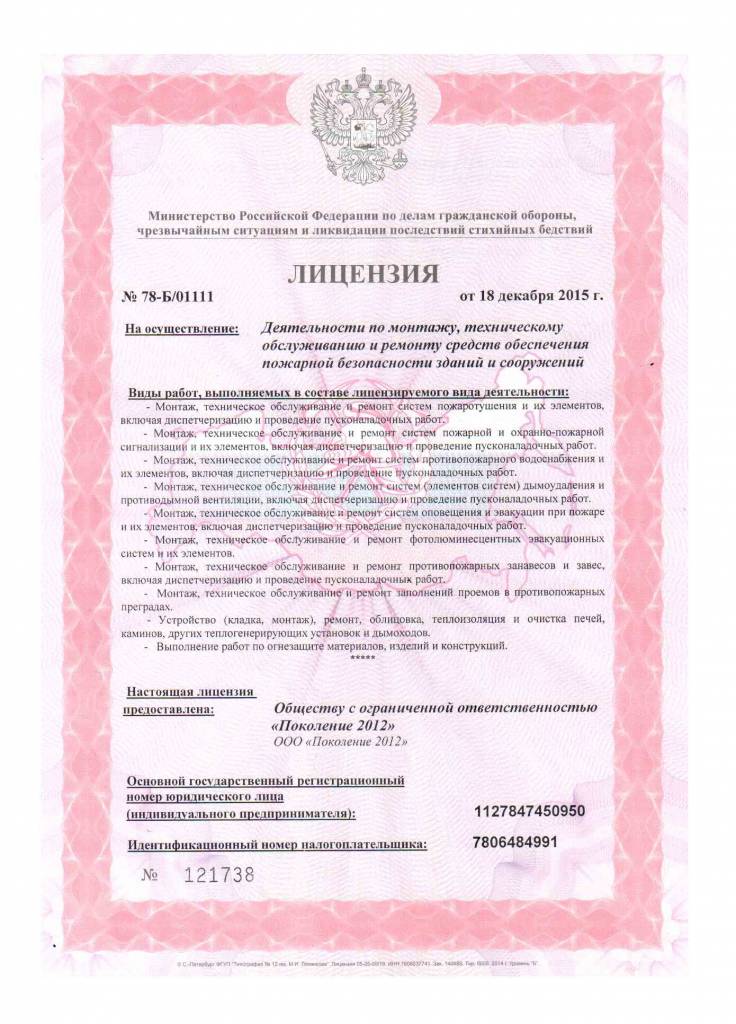 Наши лицезии